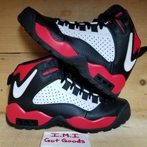 Nike Air Darwin Bulls Sz: 8.5 Men